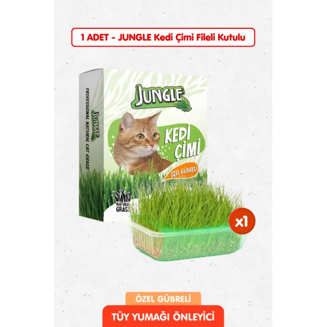 Jungle Kedi Çimi Kutulu (Fileli) Özel Gübreli
