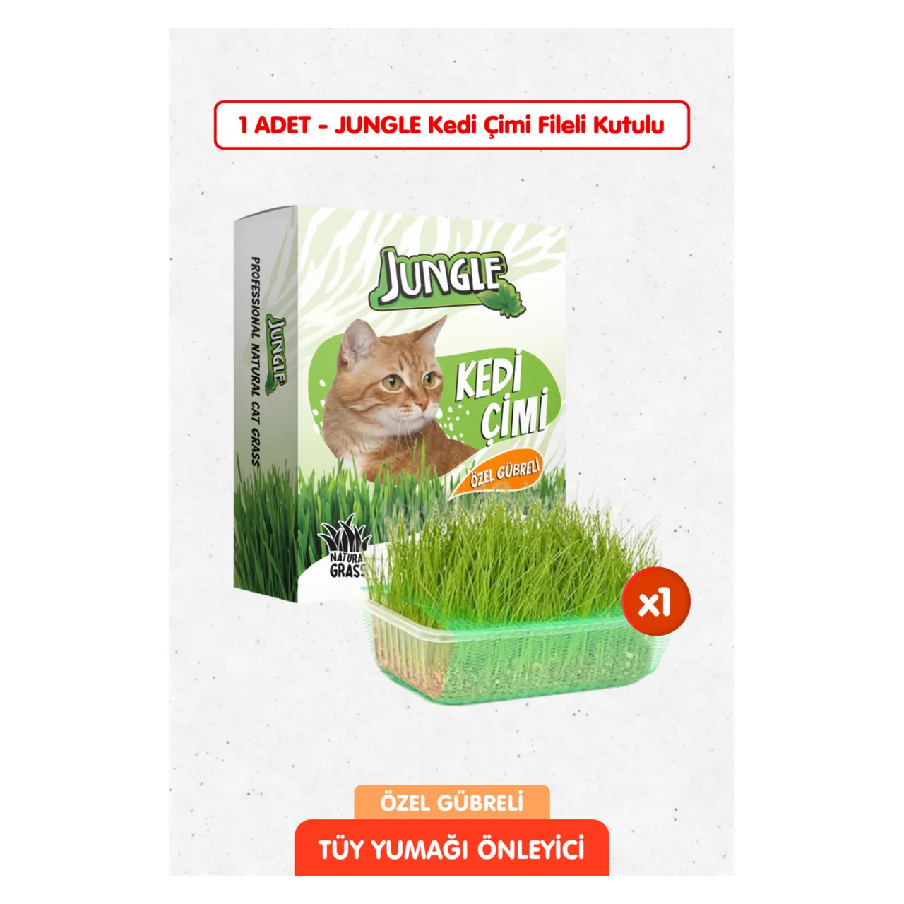 Jungle Kedi Çimi Kutulu (Fileli) Özel Gübreli