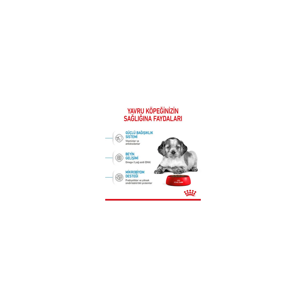 Royal Canin Medium Puppy Orta Irk Yavru Köpek Maması 15 Kg